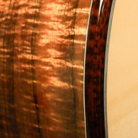 Guitar Panel 8